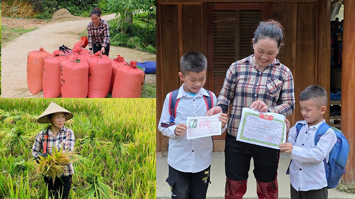 Complete rice harvesting work, including threshing with a mini thresher.DANG THI DU