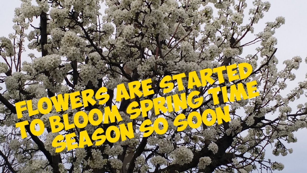 Spring Is Done WINTER IS DONE SOON/SPRING TIME COMING SOON - YouTube