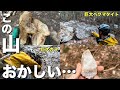 【衝撃】この山ちょっとおかしいです…