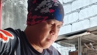 Pag asa .. by Asin band / cover by alejandro conrado #pinoyrock 