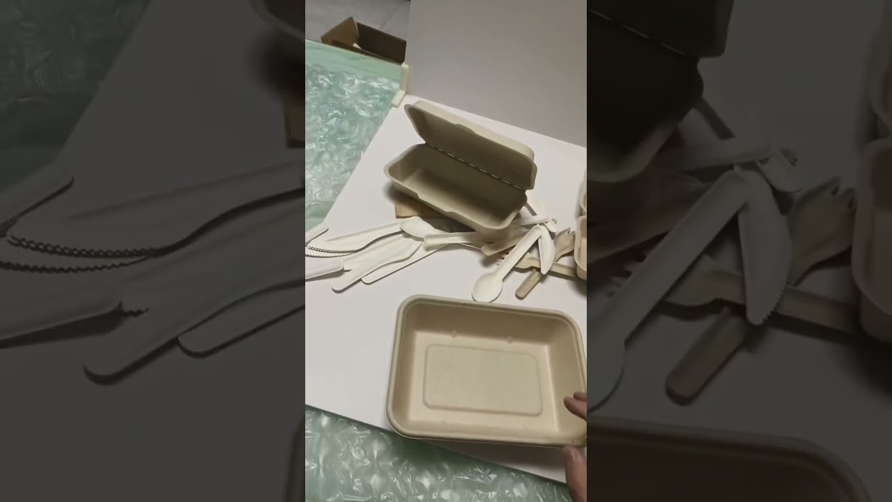 China Bagasse Tableware Factory 