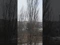 Работа в разгаре