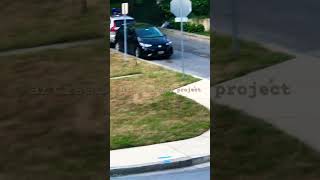 How Fast Rabbits Hop Run