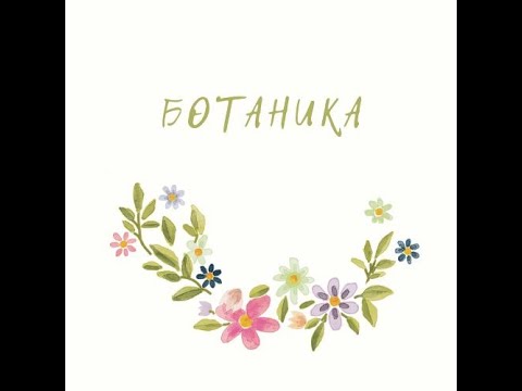 Лекция №6 по ботанике "Стебель"