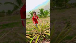 Today, Piseth came to pick pineapples. 🍍#shorts #youtubeshorts #funny #youtube