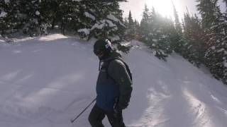 Vail 2016 Tree run Champagne Glades