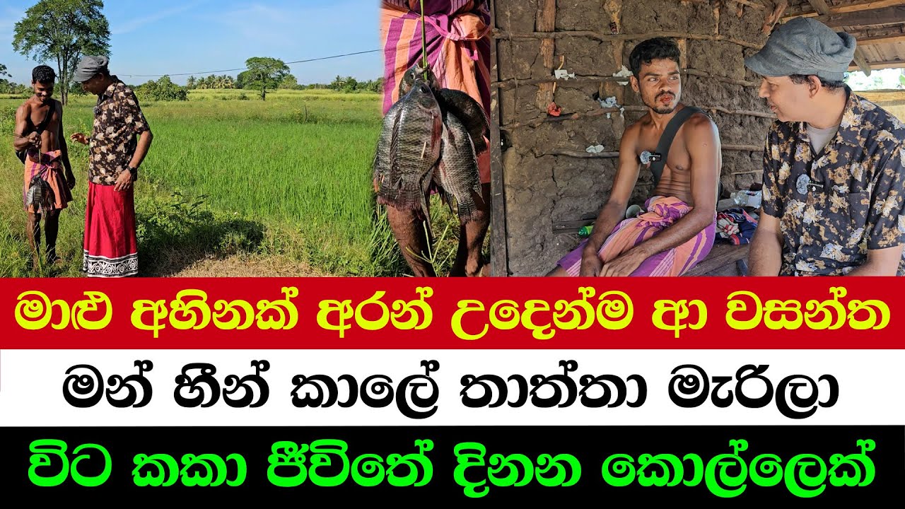 The Boy Who Caught Fish at Dawn | Father Died, I Worked Since Childhood