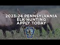 2023-24 PENNSYLVANIA ELK HUNTING: APPLY TODAY