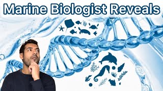 How a Glass of Seawater Can Reveal 1000 Hidden Animals