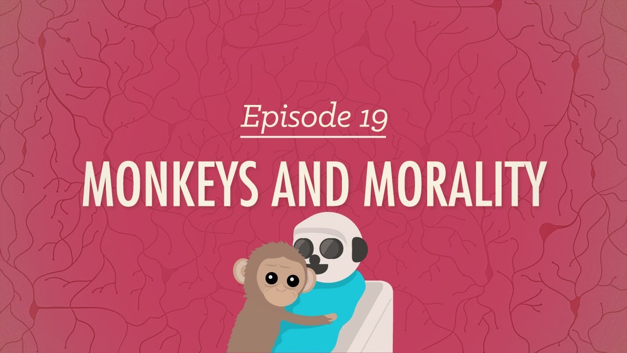 ⁣Monkeys and Morality: Crash Course Psychology #19