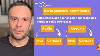 Esquemas de Reforçamento | Aula de Psicologia Comportamental | Reforço e Punição Esquemas | Behavior