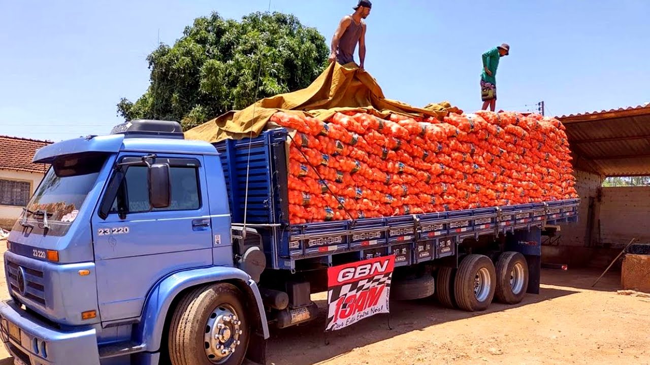 QUEM ACELERA É NÓS VIU... 💊👌