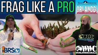 Learn How to Frag Corals Like a PRO! by BRStv - Saltwater Aquariums & Reef Tanks 4,290 views 5 days ago 1 hour, 23 minutes