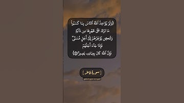 سورة فاطر الآية ٤٥ بصوت الشيخ محمد صديق المنشاوي