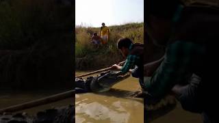 animal attack 🤯 #automobile #100plusspeed #adrenalinerush #bikeride #harekfriendkaminahotahai #fast