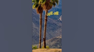 #ياسر_الدوسري #سورة_المؤمنون #خشوع #اكسبلور #قرآن #quran #لايك #ذكر_الله #lifeisbutadream