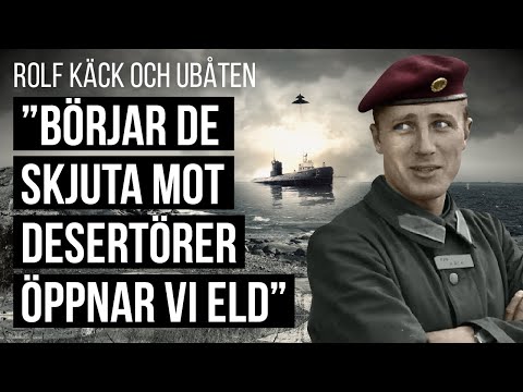 Video: Vikingar och runstenar (del 2)