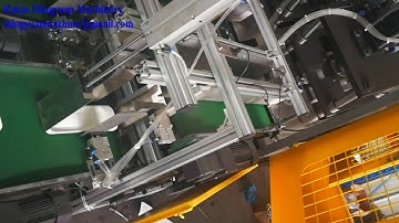 Paper Plate Machine with Counting and collection system for German Client