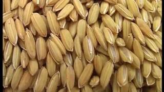 Seed cleaning by floatation video in Gonja language