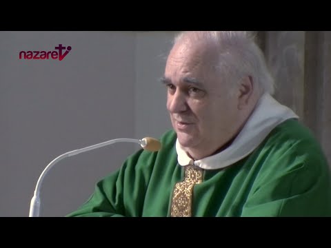 Evangelio y homilía