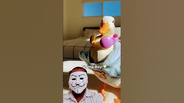 #sigma boy#duck dance🪿🪿#music #entertainment #shortvideo