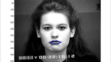 Lip Tracking under Varying Expressions Utilizing Domain Knowledge, NCVPRIPG 