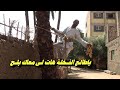 ياطالع النخله هات لى معاك بلح