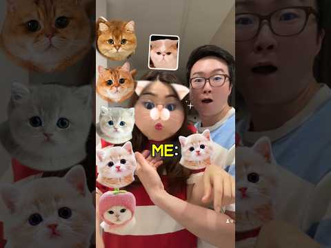 뚱냥이 챌린지 <strong>Cute</strong> <strong>Cat</strong> Challenge #shorts