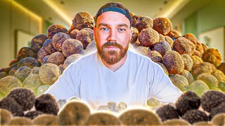 Mais Cest Quoi La Truffe ??