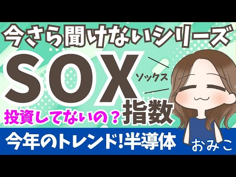 【SOX指数】楽天vsニッセイ | 36歳女NISA投資運用結果(S&P500, NASDAQ100, SOX)(11)