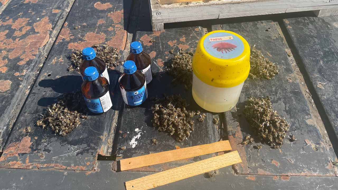 Як працює Варафлу