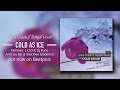 Anton ishutin feat tasteful house  cold as ice original mix lovestyle records