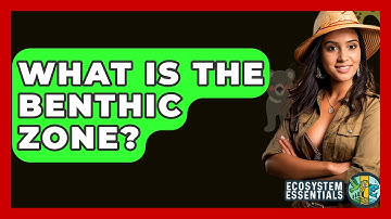 What Is The Benthic Zone? - Ecosystem Essentials