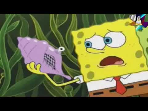 The Shell has Spoken - Sparta Execution Remix