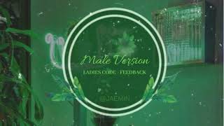 Male Version Ladies Code (레이디스 코드) - Feedback