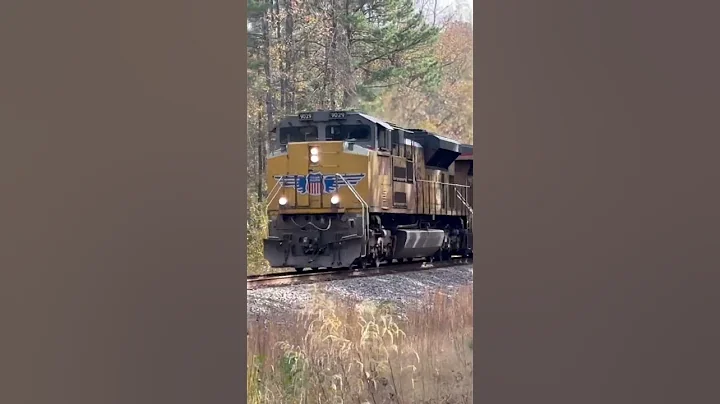 One of our favorite videos of November! 11/16/2025 : McNeil, Arkansas