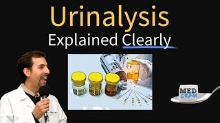 Urinalysis Interpretation Explained Clearly  Glucose & Ketones in Urine