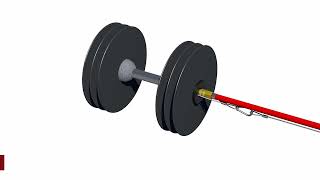 Holzer ASS® Opti – The Opti Fix Design Explained