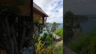 Rumah Pohon Nusa Penida / Rumah pohon melonteng