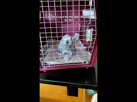 Come here, come say hi 🥹😘