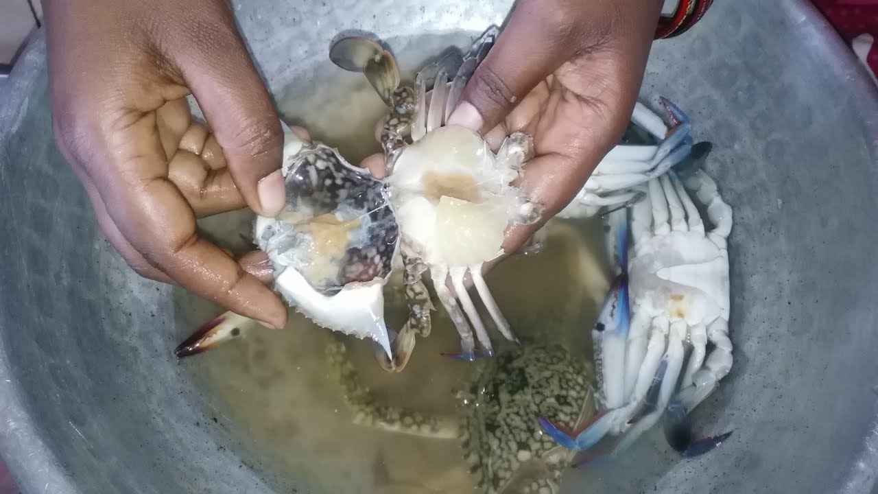 Crab Perfect Cleaning Method Whales Waala YouTube