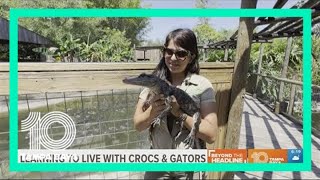 Learning to live peacefully with crocs and gators