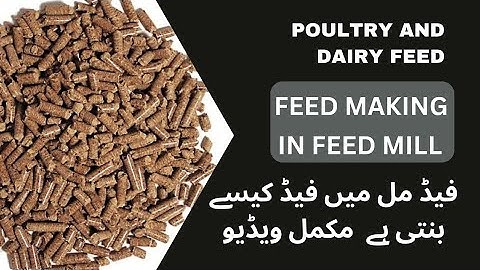 Feed mill process : Dairy and poultry feed formulation in Feed Mill