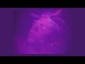 V:RGO - DEJA VU [Official Video]