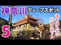 神奈川のディープな穴場スポット5選 Part1/観光客の知らない穴場スポット/神奈川観光旅行vlog
