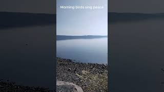 Canada Ocean Peace Healing You? #Nature #Shorts