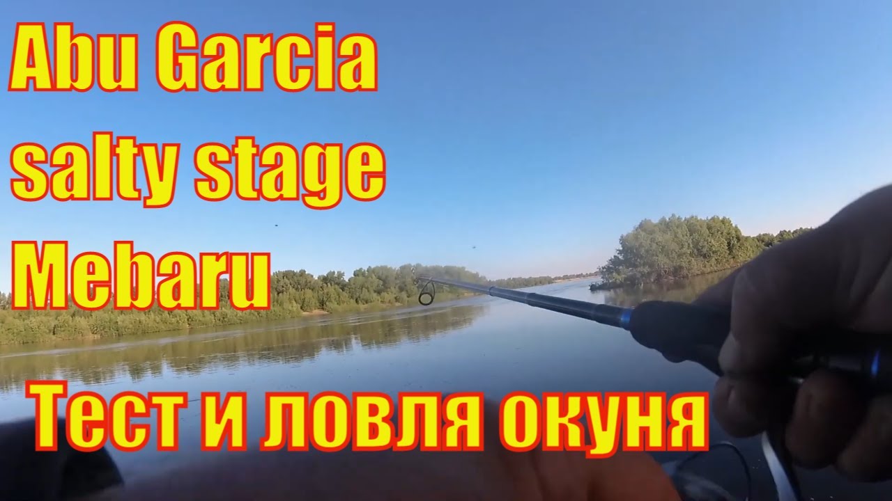 Результаты рыбалки Окуня с берега на Abu Garcia Salty Stage Mebaru в ...