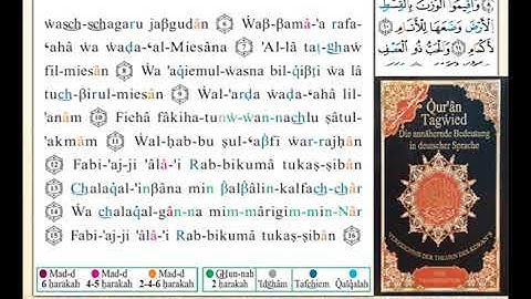 ختمة من مصحف التجويد باللغة الألمانية الصفحة رقم 531