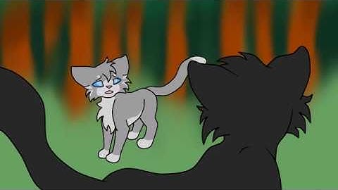 What Did I Miss Hollyleaf map parts 29&30