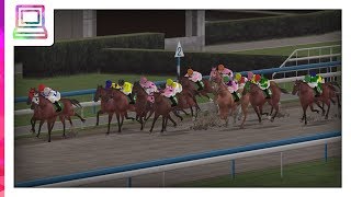 Derby Stallion P (PSP) (Horse Game) screenshot 1